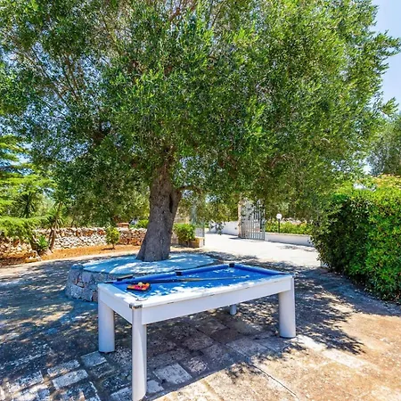 Willa Guglielmo By *